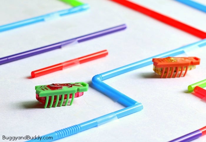 STEM Challenge for Kids: Build a Hexbug Maze with Straws (Fun science activity for a class or rainy day!) ~ BuggyandBuddy.com
