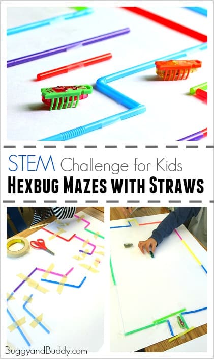 hexbug maze