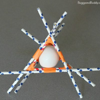 STEM for Kids: Egg Drop Project