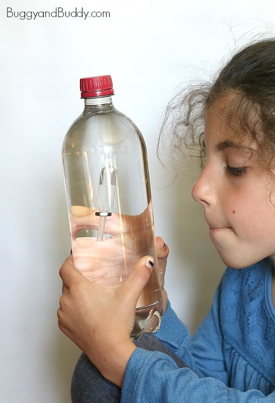 Cool Science for Kids: How to Make a Cartesian Diver