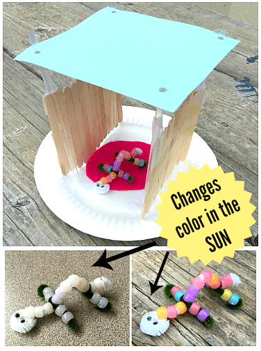 STEM Challenge for Kids: Build a Shelter from the Sun and Test it with