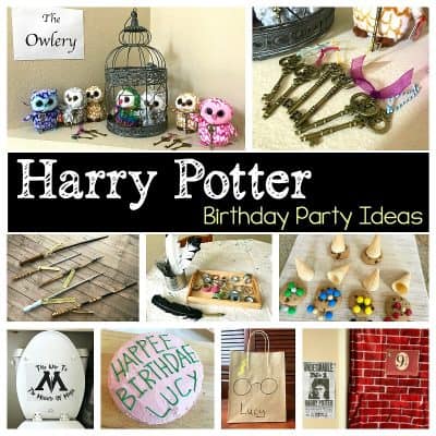 Harry Potter Birthday Party Ideas