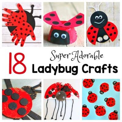 18 Ladybug Crafts for Kids