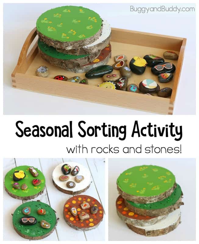 Seasons Activity for Kids using natural materials and sorting natural materials. Perfect hands on activity for preschool! 