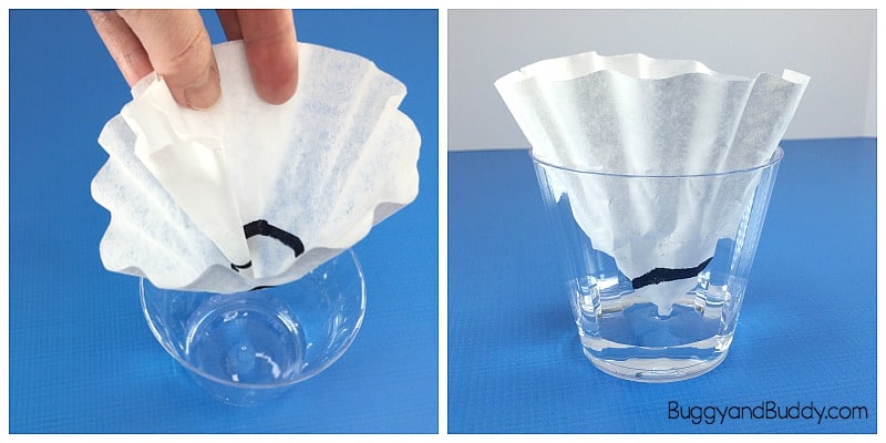 coffee filter chromatography science experiment for kids