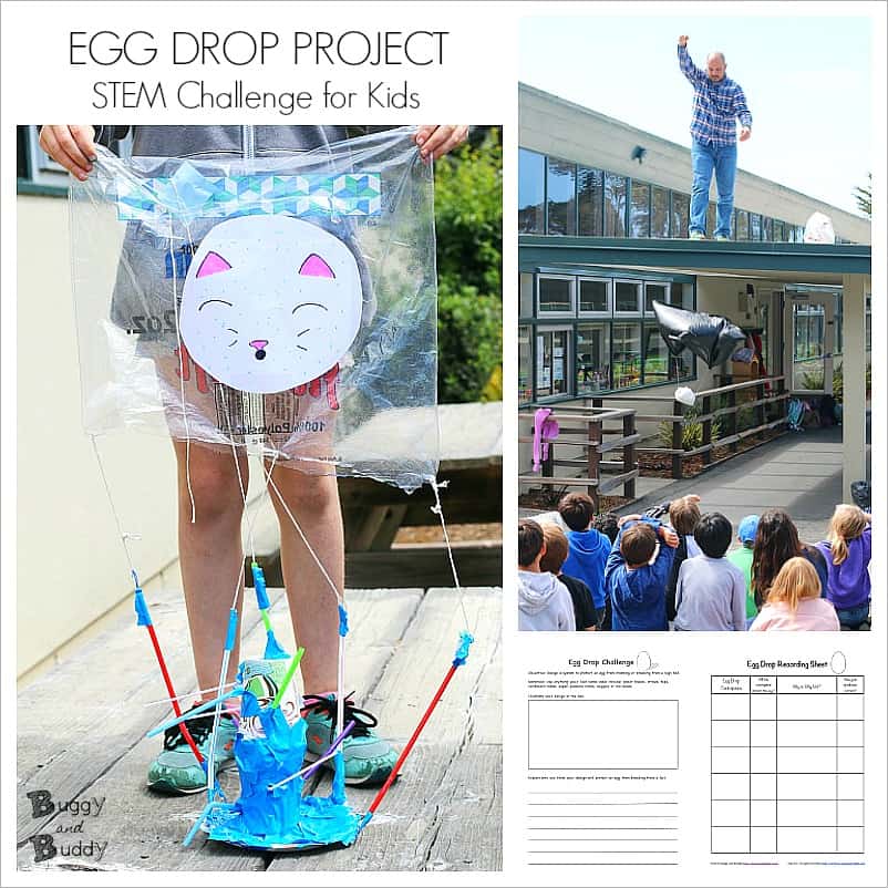 egg drop challenge ideas easy