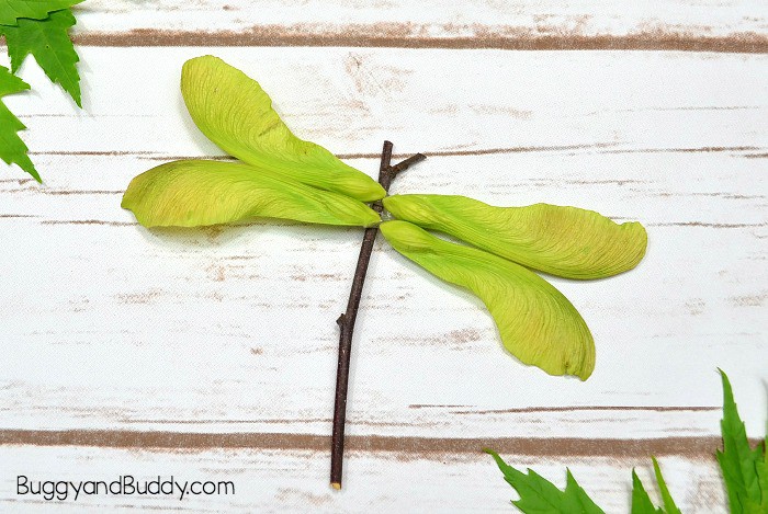 completed dragonfly craft using helicopter maple seeds and a twig