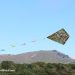 How to Make a Kite~ buggyandbuddy.com